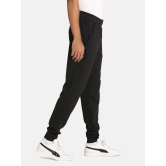 Essential Logo Regular Fit Knitted Mens Pants