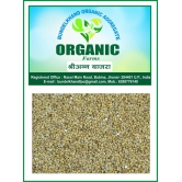 Organic Millets Bajra