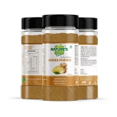 Natures Gift Onion Powder 250gm, Ginger Powder 200 gm, Garlic Powder 250 gm & Tomato Powder 300 gm - Ready To Cook Powder 1 kg