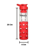 Femora Borosilicate Glass Red Water Bottle 700ml