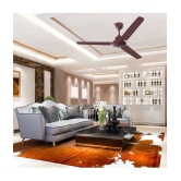 Orpat 1200 Moneysaver I (S) Ceiling Fan Brown - Brown