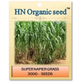 homeagro - Grass Seeds ( 3000 )