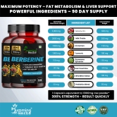 Humming Herbs Berberine | 8in1 | 90 Capsules | 13100mg | with Bitter Melon, Milk Thistle, Turmeric & Black Pepper - For Optimal Health - Pack of 2