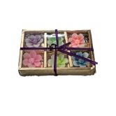 Sonchiraiya Home Decor Flower Candles Pack of 6