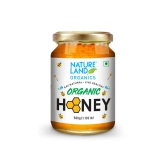 Honey  500 Gm