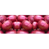 Organic Red Onion - Fresh from the Earth (200g)