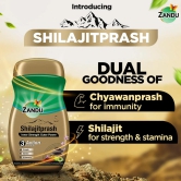 Zandu Shilajitprash 450g