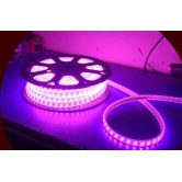 LED Strip Rope Light or Ceiling Light or Decorative Light with Adapter (Pink, 5 Meter).