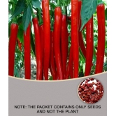 Recron Seeds - Chilli Vegetable ( 50 Seeds )