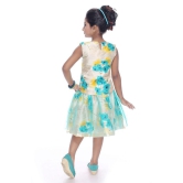 Zadums Girls  A-Line Frock,Green - 2-3 Years