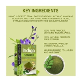 Kayamaya 100% Organic Indigo Powder Organic Henna 100 g