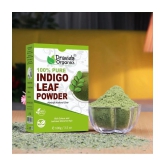 Dravida Organics Indigo Powder for black hair Henna 100 g