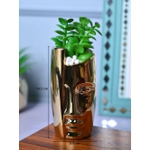 Golden Serenity - Face Design Artificial Plant with Pot