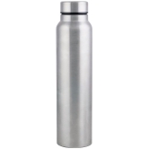 PearlPet F10 Silver Water Bottle 1000 mL ( ) - Silver