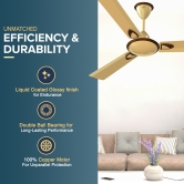 Gatimaan Plus AS High-Speed Designer Ceiling Fan for Home 1.2 m, Imperial Gold