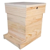 Bee Boxes-Apis Cerena (1 box)