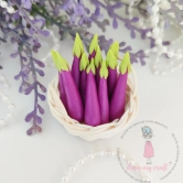 Miniature Egg Plant/Brinjal