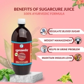 Bharat Gram Udyog Sugarcure Ras - Natural Support for Balanced Sugar Level, 1 L