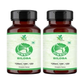 Ginkgo Biloba Veg. Capsules Pack of 2 - 120's