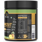 Wel-Ark Pre-workout 300 gm