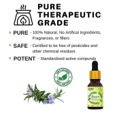 Zorg Organics Rosemary Essential Oil 30 mL ( Pack of 2 )