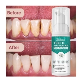 Phillauri Dentist Recommended Denture Oral Kit