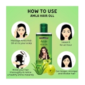 Phillauri Hair Growth Amla Oil 300 ml ( Pack of 3 )