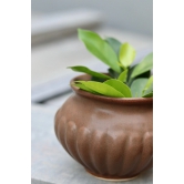 Brown Kalash Planter-Single