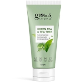 Globus Naturals - Refreshing Face Wash For Normal Skin ( Pack of 1 )