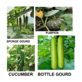 4 Variety Vegetable Best Quality Combo Seeds ( Pack Of 40 seed ) Hybrid Seeds with Instruction Manual