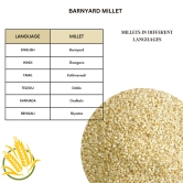 Native Pods Barnyard Millet Unpolished 500gm- Sanwa,Kuthiravali,Oodalu - Natural & Organic - Gluten free and Wholesome Grain without Additives