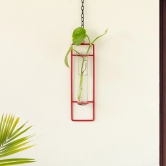 Modern Glass Garden Test Tube Hanging Planter/Vase (10 Inch, Red)