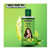 Phillauri Anti Dandruff Amla Oil 100 ml ( Pack of 1 )