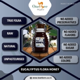 ONE BEE ORGANIC Honey | Eucalyptus Honey/Nilgiri Flora Honey/Nilgiri Nu Madh | Natural Flora Honey - 280 GM.