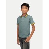 Radprix Green Cotton Blend Boys Polo T-Shirt ( Pack of 1 ) - None