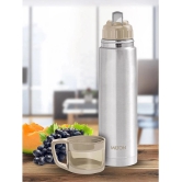 Milton Glassy 500 Thermosteel 24 Hours Hot and Cold Water Bottle with Drinking Cup Lid, 500 ml, Grey - Grey