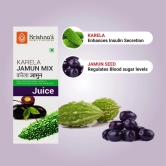 Karela Jamun Mix Juice 1000 ml