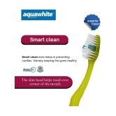 aquawhite Smart Clean Bristles Pack of 12 Toothbrush