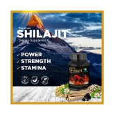 Vedapure Premium Shilajit Caps with Ashwagandha Extract Helps in Stamina, Strength,For Men 1000mg - 60 Veg Caps (Pack of 1)