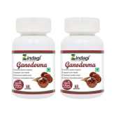 Zindagi Ganoderma Capsules - Natural Immunity Booster Capsules - Ganoderma Extract Capsules - Health Supplement 120 gm Natural Multivitamins Capsule Pack of 2