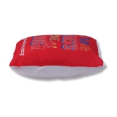 Ros - Red Ceramic Gifting Printed Cushion