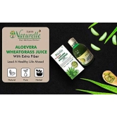 Farm Naturelle-Strongest Ayurvedic Aloevera Wheatgrass Juice-Detoxifier, Improved Digestion, Skin Health and a Fat fighter-4x400ml+ 55gx4 Herbs Infused Forest Honey