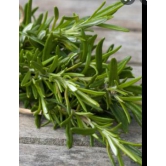 Rosemary 20 Gms