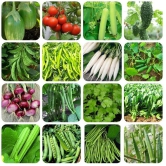 homeagro- Mixed Vegetable Seeds (Pack of 500)