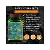 Shilajit Gold | Premium Vitality | Ayurvedic Supplement for Men 60 Capsules