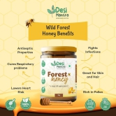 Wild Forest Honey | 1 KG