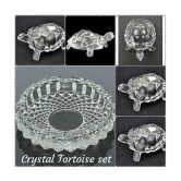 PAYSTORE Crystal Tortoise