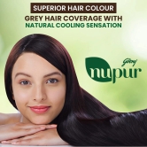 Godrej Nupur 100% Pure Henna Powder For Hair Colour, Mehandi For Hair, Hands & Feet, 150 G