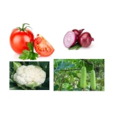 Combo of best quality (Tomato, Onion, Bottle gourd & Cauliflower) Vegetable seeds