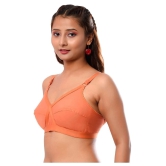 Elina Cotton Everyday Bra - Multi Color Pack of 2 - 42C